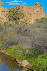 A Stream running through Boyce Thompson Arboretum State Park in Superior, Arizona USA