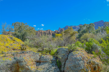 Beautiful view from Boyce Thompson Arboretum State Park of the Magma Ridge, Superior, Arizona USA