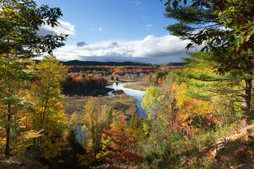 Fototapeta na wymiar Manistee River Trail Autumn