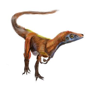 Sinosauropteryx dinosaur digital painting