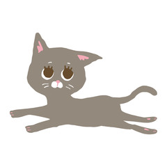 こちらを見ながら走っているグレーの猫