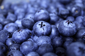 Fresh Organic Berries