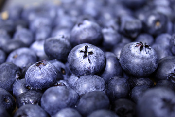 Fresh Blueberry 