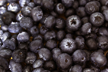 Fresh Blueberries