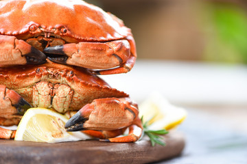 Crab cooked steam or boiled with herbs and spices lemon rosemary on wooden board in a restaurant background - Fresh seafood stone crab