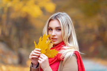 Attractive female holding fallen yellow leaves. Girl wearing bright red cozy and warm scarf. Close up portrait of blonde with angel beauty. Autumnal queen walking in the park.