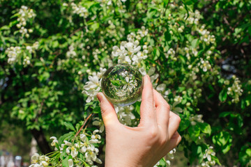 Lens ball in hand with reflection of blooming apple tree