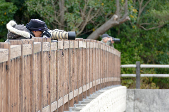 Fototapeta 望遠レンズで野鳥を狙うカメラマン