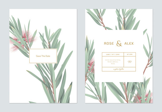 Wedding Invitation Card Template Design, Bottle Brush Branches On White