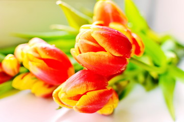 Floral easter background. Bouquet of flowers of red yellow blooming tulips with green leaf on bright blurred background of white desk. Selective focus