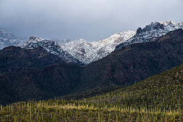 Mt. Lemmon in Tucson Arizona