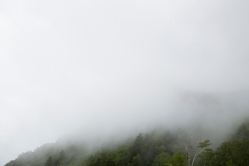 霧に包まれた山
