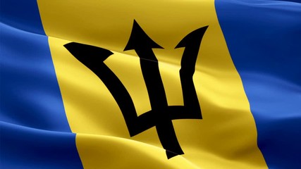 Barbadian flag Closeup 1080p Full HD 1920X1080 footage video waving in wind. National ‎‎‎Bridgetown‎‎ 3d Barbadian flag waving. Sign of Barbados seamless loop animation. Barbadian flag HD resolution B