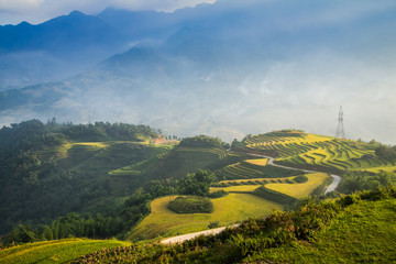 Fototapeta premium Rice fields on terraced in rainny season at SAPA, Lao Cai, Vietnam. Rice fields prepare for transplant at Northwest Vietnam