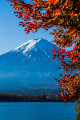 Autumn at Mt.Fuji