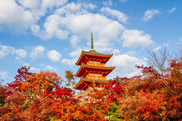 Obraz premium Kiyomizu-dera autumn