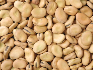 Pile of broad beans, background