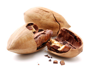Pecan nuts on white background