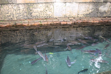 bathing and fish ponds at Penataran Temple, Hindu Temple, Kelud Mountain Guard, Blitar, East Java, Indonesia