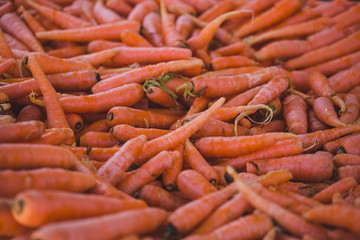 Fresh carrots on a market counter.