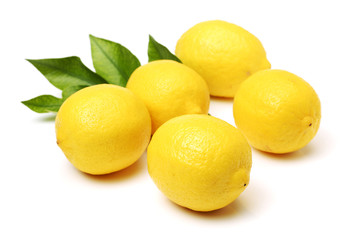 Green cabbage isolated on white background