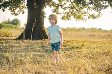 Funny child boy 5 years old on meadow in summer in nature. Happy child boy on field. Kid having fun at countryside.
