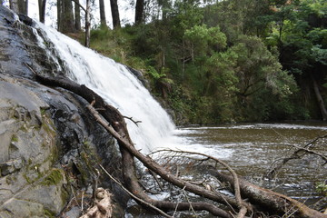 waterfall near morwell gippsland
