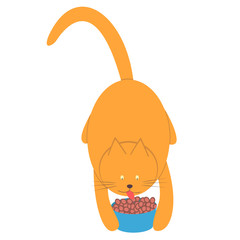 Red domestic cat eats food from a bowl. Fat ginger cat eating dry food for the animals. Vector illustration.