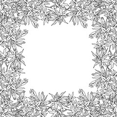 Wreath of lily flower buds on a white background. Hand-drawn collection of festive decor and greeting cards. Vector illustration.