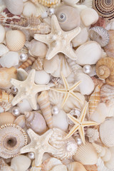 Seashells, pearls and starfishes as background
