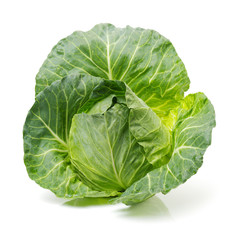Obraz premium cabbage on white background