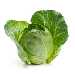 Fototapeta premium cabbage on white background