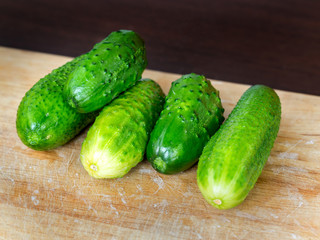 Fresh green cucumbers on a wooden rustic background