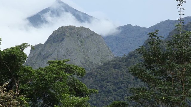 Limestone rocks and the tropical rainforest in Mulu National Park, Borneo, Malaysia