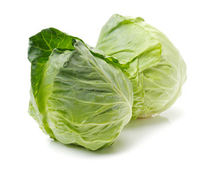cabbage on white background