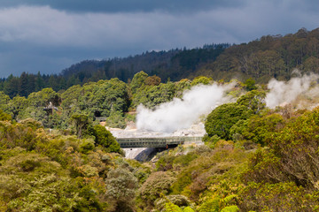 Fototapeta na wymiar Pohutu geyser view, in the Whakarewarewa Thermal Valley, Te Puia, Rotorua, New Zealand