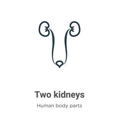Two kidneys outline vector icon. Thin line black two kidneys icon, flat vector simple element illustration from editable human body parts concept isolated stroke on white background