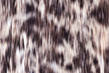 Abstract blurred background in brown with white spots.