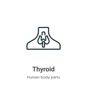 Thyroid outline vector icon. Thin line black thyroid icon, flat vector simple element illustration from editable human body parts concept isolated stroke on white background