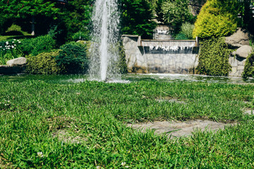 Fototapeta na wymiar Pool with fontain in the backyard garden