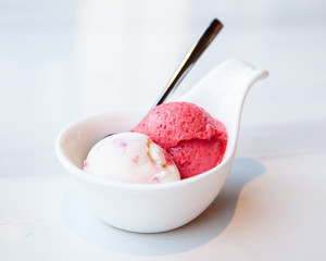 Raspberry and yogurt ice cream served on mini white bowl