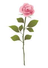 Fototapeta premium 【ベクター】 バラ 薔薇 一輪 植物 ピンク かわいい 白背景 優しくかわいいピンク色の美しい一輪のバラのイラスト素材
