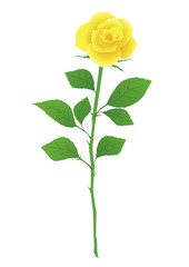 Obraz premium 【ベクター】 バラ 薔薇 一輪 植物 黄色 華やか 白背景 華やかで明るい黄色の美しい一輪のバラのイラスト素材