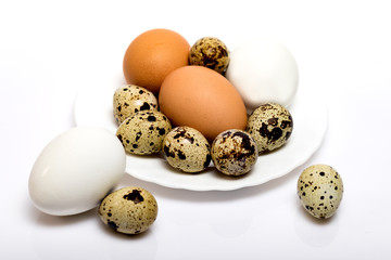 Chicken and quail eggs on a plate on a white background.