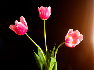 Tulips are in a vase on the bedside table on the background of LCD.
