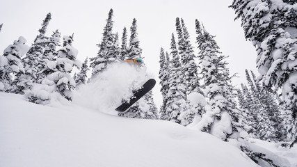 Snowboarder in the forest blows the snow powder in winter