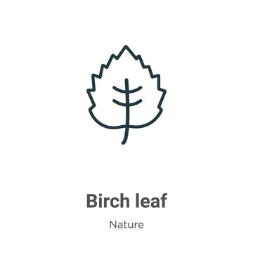 Birch Leaf Outline Vector Icon. Thin Line Black Birch Leaf Icon, Flat Vector Simple Element Illustration From Editable Nature Concept Isolated Stroke On White Background