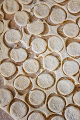 Cut circles for dumplings, texture from the dough.2020