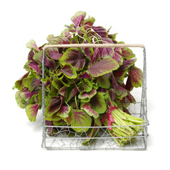 amaranth on a white background