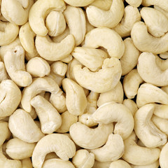 Cashews nut background